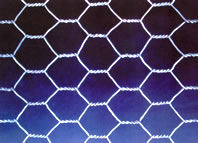 hexagonal wire netting