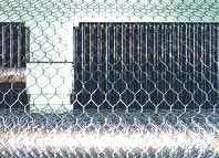 hexagonal wire netting