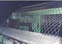 hexagonal wire netting